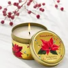 Hollyberry 6-oz. Travel Candle Tin