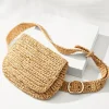 5-in-1 Raffia Belt Bag