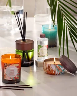 Maui Mango Travel Candle Tin