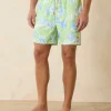 Naples Pineapple Hideaway 6-Inch Swim Trunks