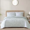Palmday 2-Piece Twin Quilt Set
