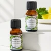 Pineapple Cilantro Ceramic Pineapple Diffuser Oil Refill Set