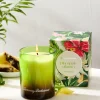 Pineapple Cilantro 7.5-oz. Boxed Poured Candle