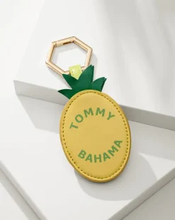 Pineapple Magnetic Hat Clip