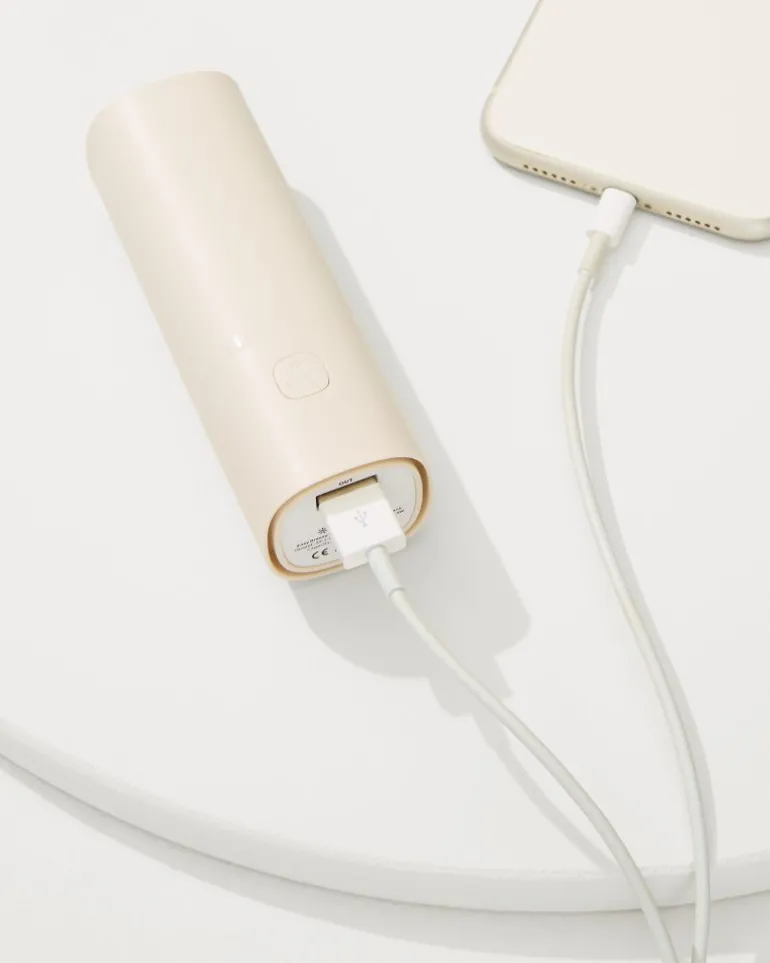 Portable Fan & Power Bank