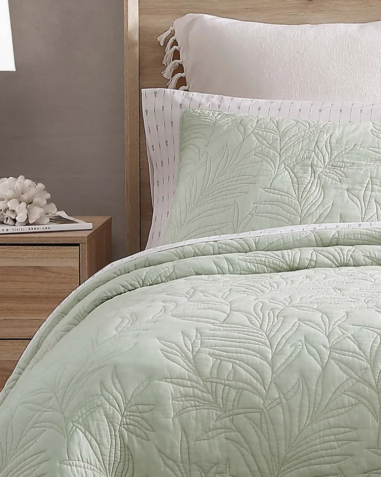 Solid Costa Sera 2-Piece King Quilted Sham Set